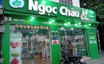 giỏ hoa quả nhập khẩu trang trí lưới viền