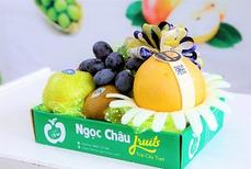 Hộp hoa quả nhập khẩu quà tặng 20/11 đẹp