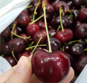 Mua cherry ở đâu tại Hà Nội