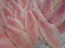 Red Drum Fillets