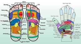 Sensory Reflexology - Foot Spa - Allen Foot Spa