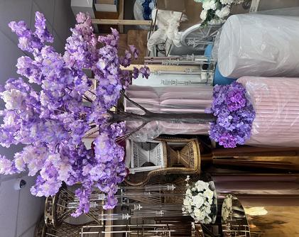 cherry blossom trees for rent