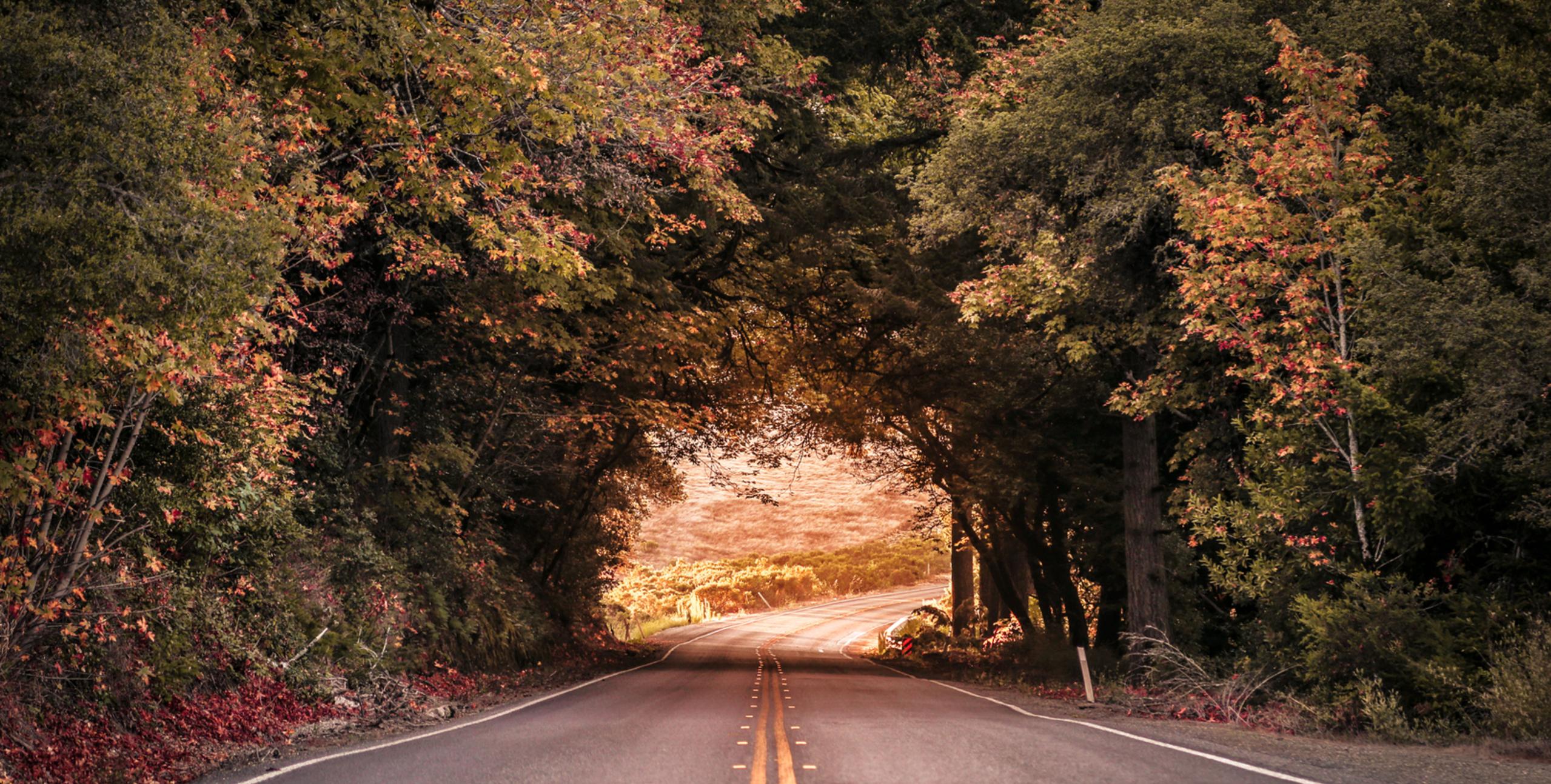 graphic design printed media booklet