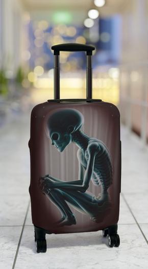 "NOTHING TO DECLARE" Carry On Suitcase Protector DEEP RED Design.