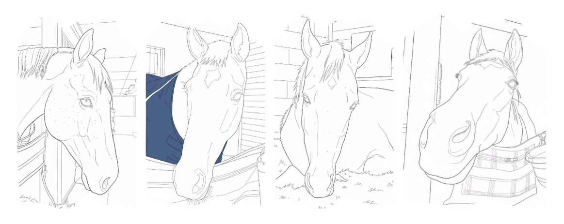 Free high-resolution coloring page of a rescued horse at Unbridled Sanctuary. Click to download.