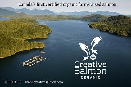 Creative Salmon Website