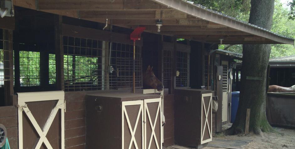 Partial horse boarding
