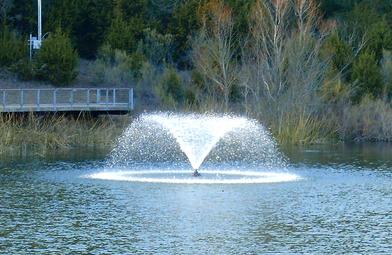 Picture of the fountain at the Boardwalk Pond