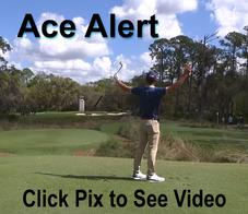 Hole In One Trevor Simsby WGC-Workday