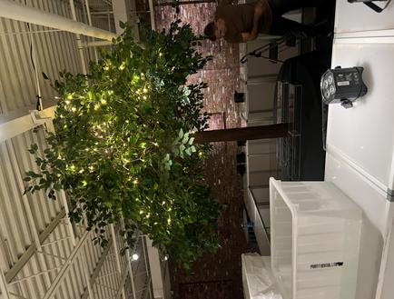 9'foot garden wedding tree #gardenwedding