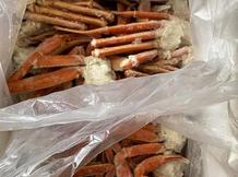 Snow Crab