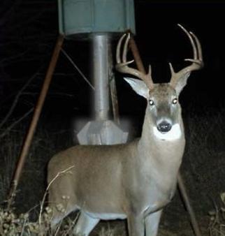 Hunting Supplies