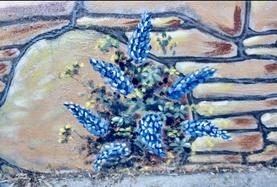 Garden Wall Mural at Mooney Lot by Muralist Debra Power, Community Pride Volunteer. Placerville, California. Photo by Josette Johnson