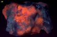 tenebrescent fluorescent SODALITE HACKMANITE - Dungannon Township, Hasting County, Ontario, Canada - ex Franklin MiningMuseum, J.Baum