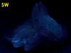 tabular blue BARYTE barite - Cartersville, Cartersville Mining District, Bartow County, Georgia, USA - ex Harold Levey, ex Parker Minerals - for sale