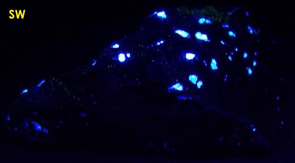 fluorescent SCHEELITE, QUARTZ, CLINOZOISITE - Trumbull (Old Mine Park), Fairfield County, Connecticut, USA