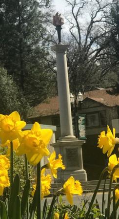 Druid Monument Landmark Photo by Josette Johnson Placerville California