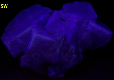 fluorescent long short wave Yellow Fluorite, siderite,Cumbria, England, UK, ex Foote