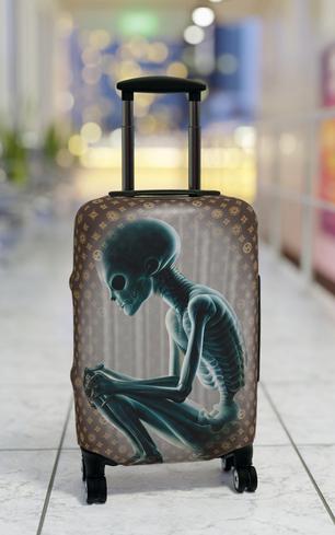 "NOTHING TO DECLARE" Carry On Suitcase Protector.