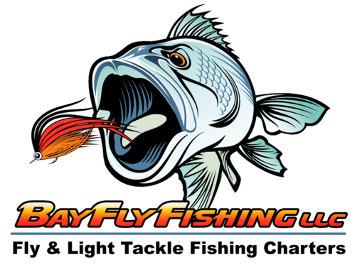 Fly and light tackle fishing charter in Virginia