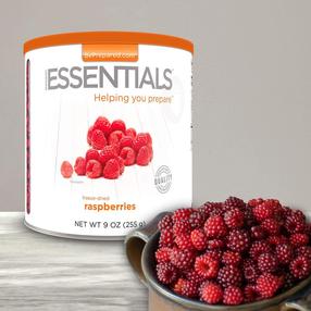 Emergency Essentials® Freeze-Dried Raspberries Large Can