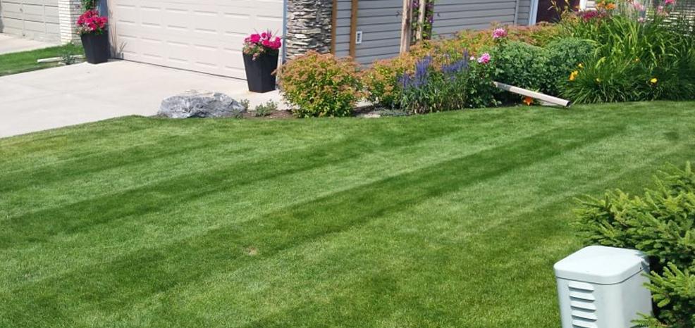 Benefits of Weekly Lawn Service | FT Property Services Inc. | Calgary, Alberta