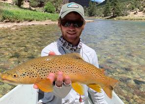 WOMAN FLY-FISHING TROUT ON GREEN RIVER DUTCH JOHN UTAH USA - TopFoto