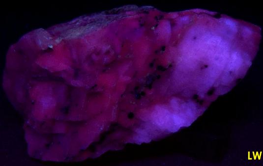 fluorescing CALCITE, MAGNETITE - Franklin, Franklin Mining District, Sussex County, New Jersey, USA - ex Borden, ex Morris Museum