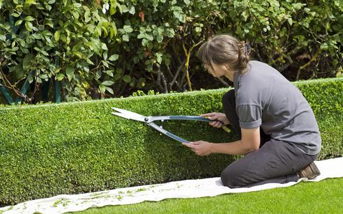 LANDSCAPING SERVICES