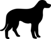 Clipart image of a dog