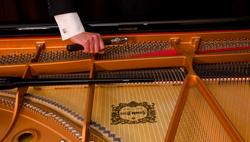 Grand Piano Tuning