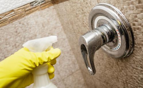 RESIDENTIAL HOUSE CLEANING COMPANY