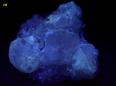 fluorescing FLUORAPOPHYLLITE, QUARTZ, LAUMONTITE - Prospect Park Quarry (Sowerbutt Quarry; Vandermade Quarry; Warren Brothers Quarry), Prospect Park, Passaic County, New Jersey, USA - ex Parker Minerals - for sale