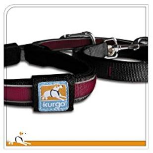 Bernedoodle Leash