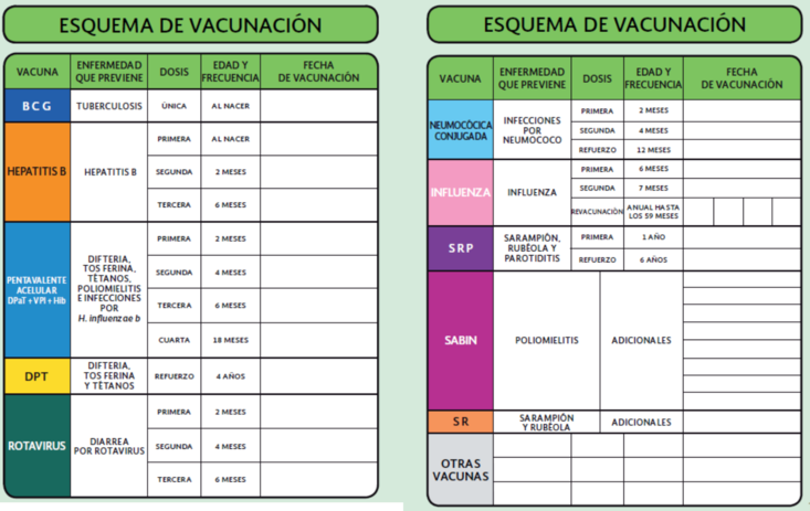 Vacunas para el niño a los 4-6 años