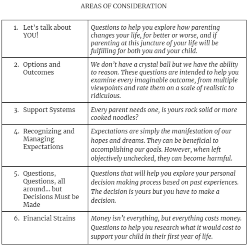 Parenting Plan, Areas of Consideration