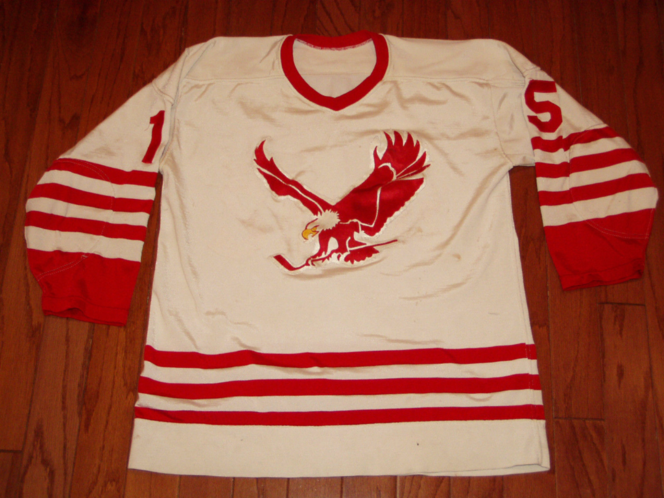 RARE Vintage Pro Joy WHA Miami Screaming Eagles Large Hockey Jersey Canada  Made