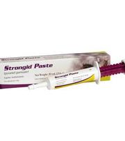 Strongid horse broad spectrum dewormer paste 43.9% pyrantel pamoate single does treats up 1,200 pound horse