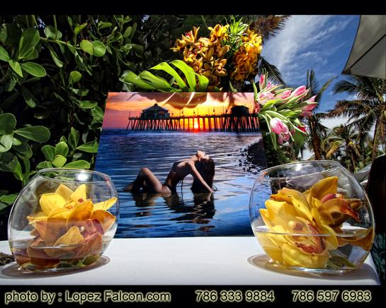 QUINCEANERA MIAMI NIGHT THEME PARTY QUINCES PHOTOGRAPHY VIDEO QUINCEANERA DRESSES QUINCE PHOTOGRAPHER MIAMI