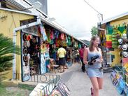 " Experience the best of Ocho Rios with Rocky's Taxi and Tour, including historic sites, Dunn's River falls, Fren Gully and Craft Market"
