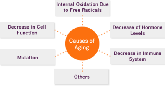 Causes of Aging