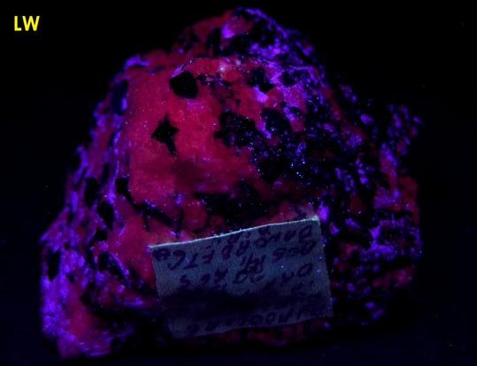 PYROCHLORE, MAGNETITE, Aegirine-Augite, fluorescent Calcite, Oka complex, Oka, Deux-Montagnes RCM, Laurentides, Québec, Canada, ex Adrian Labuz, 1965