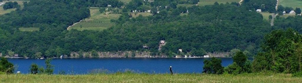 alt="Seneca Lake and Hillside in Summer"