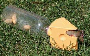 Clever non-lethal mousetrap made from soda bottle - Boing Boing