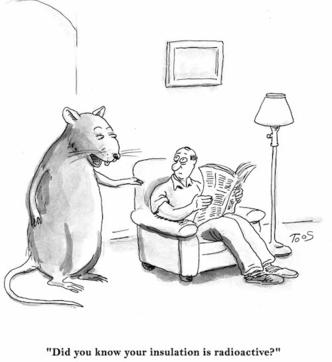 rodent cartoon