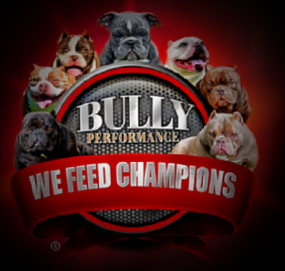 Bully Performance dog food created especially for Bully dogs