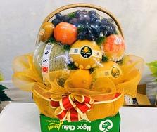 Giỏ hoa quả nhập khẩu biếu tặng tết