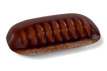 American Cockroach Oothecae