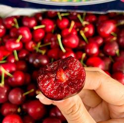 Quả cherry nhập khẩu