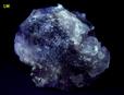 fluorescing FLUORITE - Melchor Múzquiz, Mun. de Melchor Múzquiz, Coahuila, Mexico